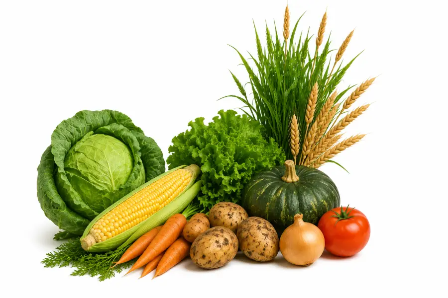 Produtos agrícolas disponíveis em loja.